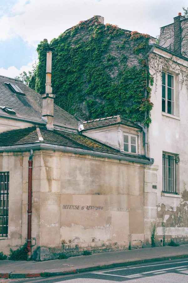 Old light beige stone buildings with ivy growing on wall in empty street in summer